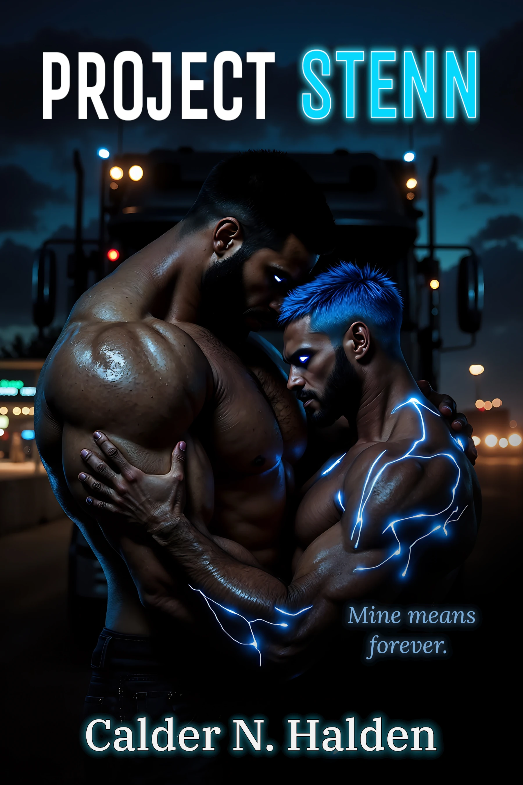 Cover for Project Stenn